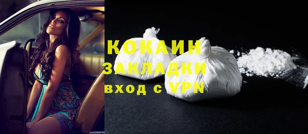 индика Переславль-Залесский