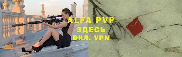 индика Переславль-Залесский