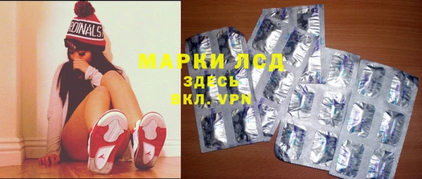 прущий лед Пересвет